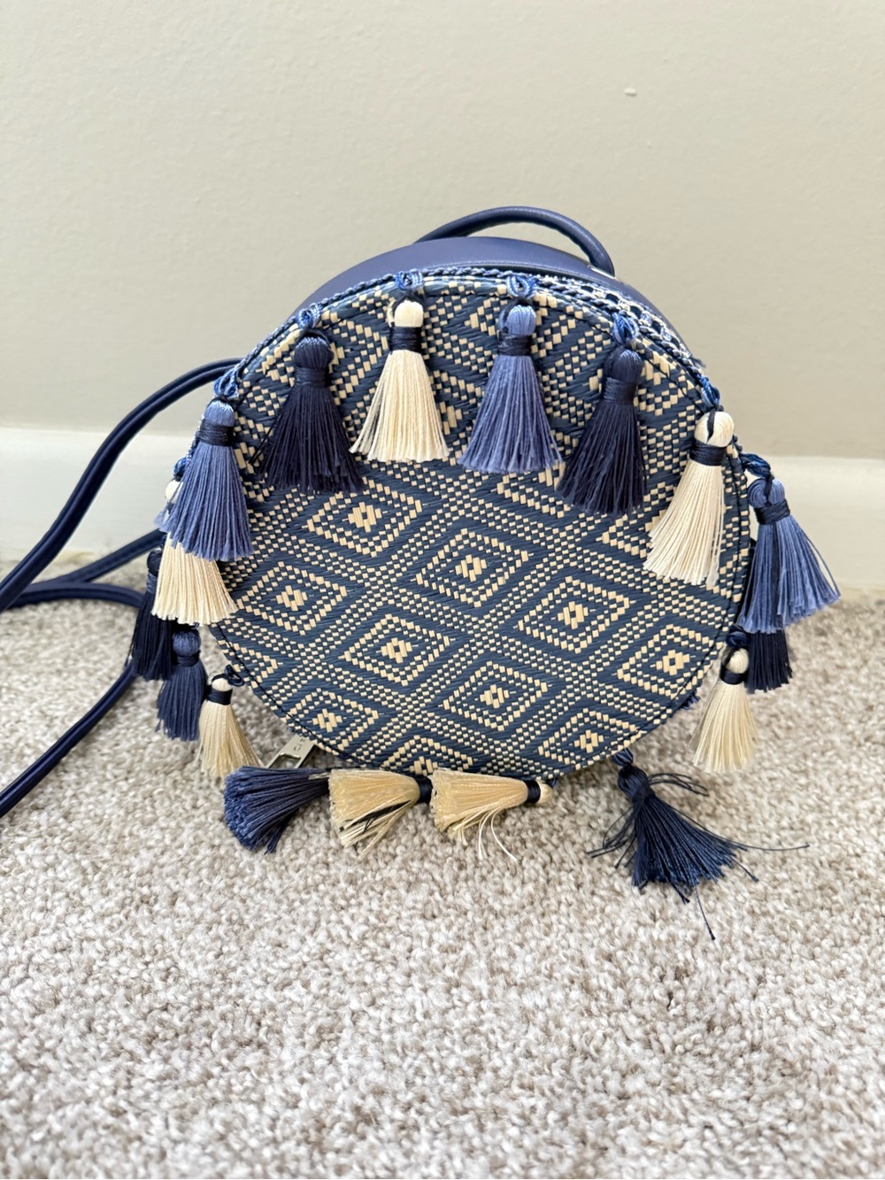 Carpisa Blue Bag Purse